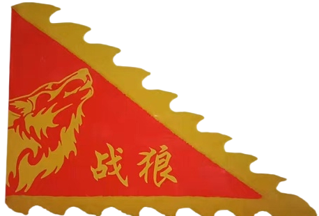 法国巴黎战狼龙舟队